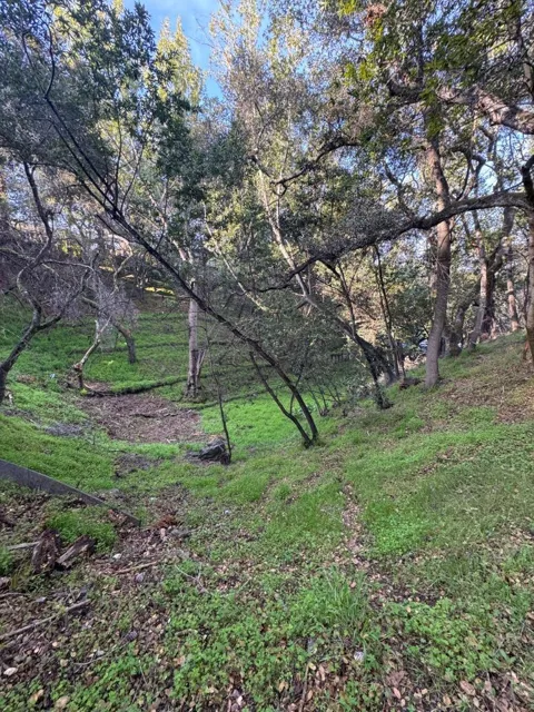 Parrott Drive