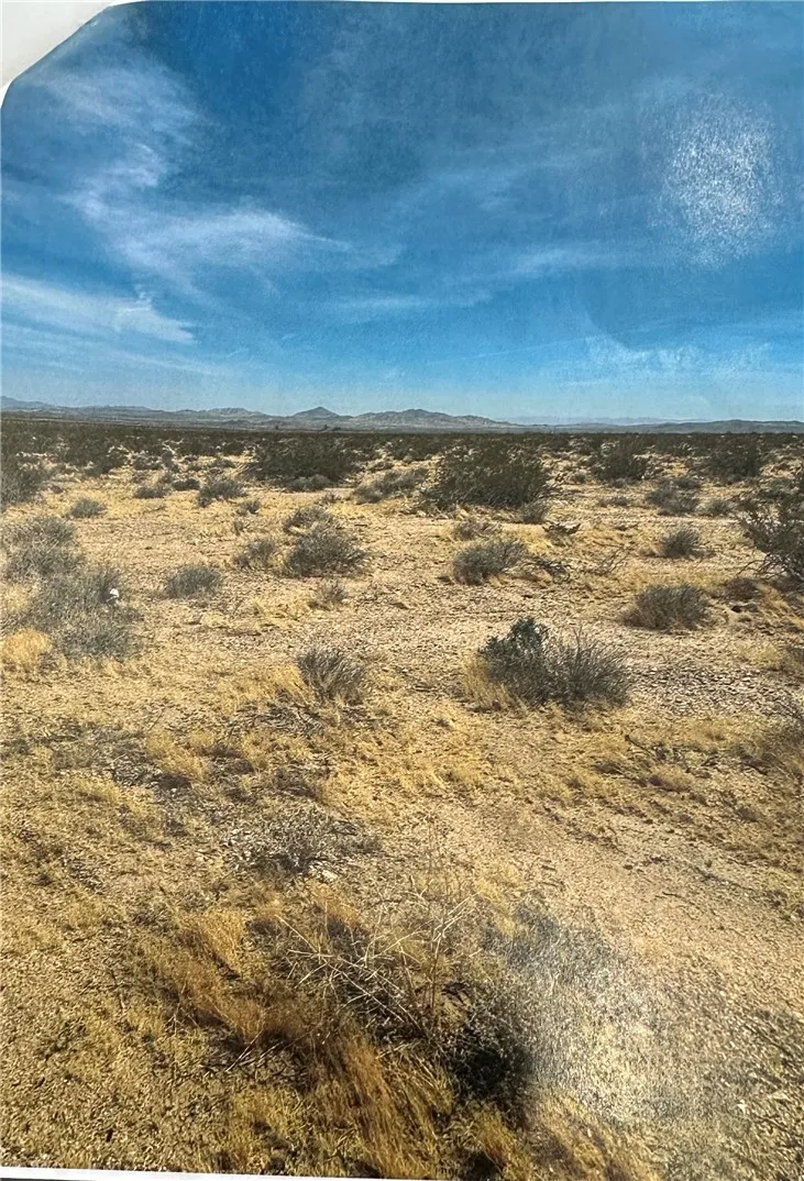 0420291160000 APN Helendale, CA 92342