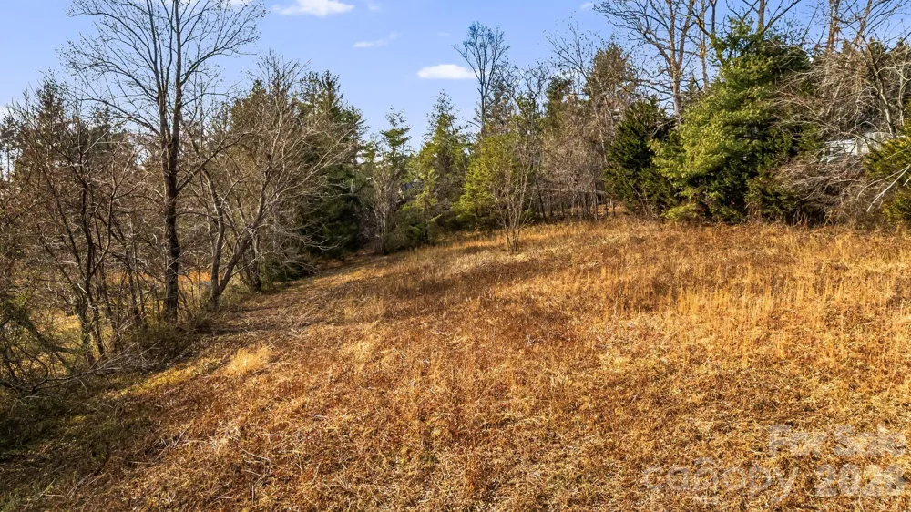 1236 Upper Brush Creek Road Fairview, NC 28730