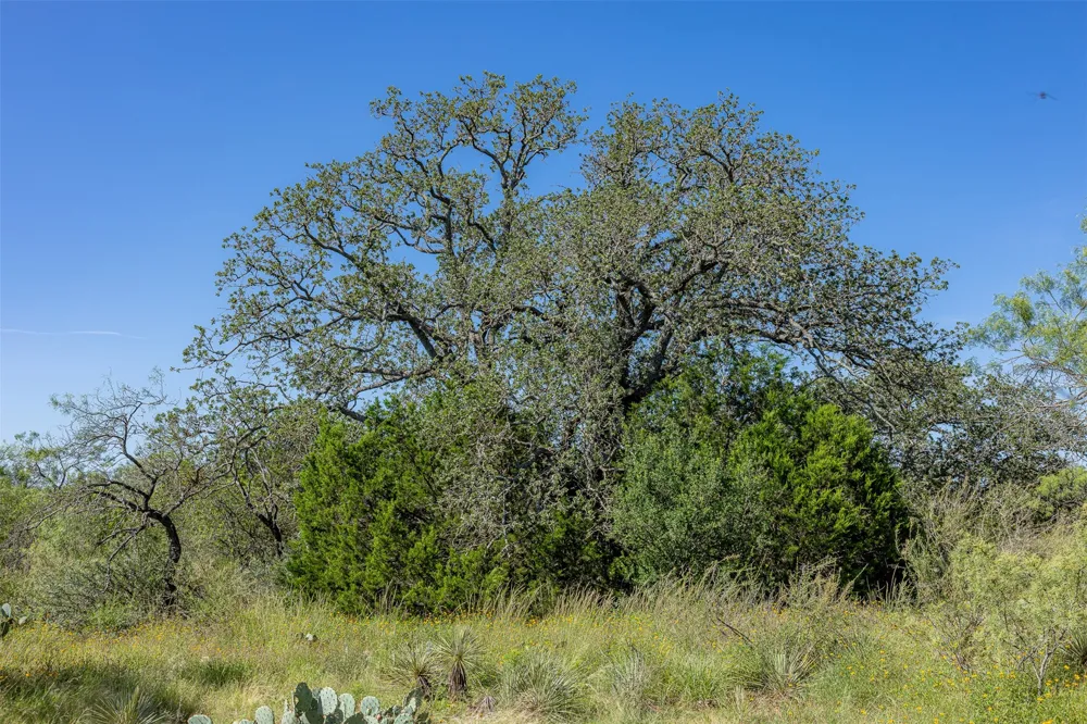 W 17th Street Brady, TX 76825