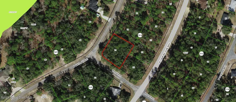 9539 Wayland Avenue Citrus Springs, FL 34434