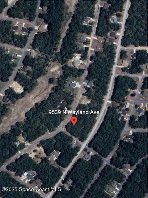 9539 Wayland Avenue Citrus Springs, FL 34434