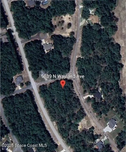 9539 Wayland Avenue Citrus Springs, FL 34434