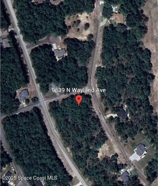 9539 Wayland Avenue Citrus Springs, FL 34434