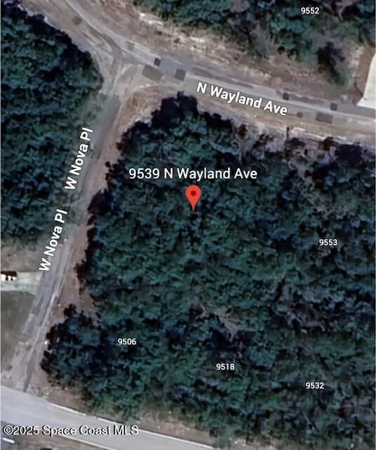 9539 Wayland Avenue Citrus Springs, FL 34434