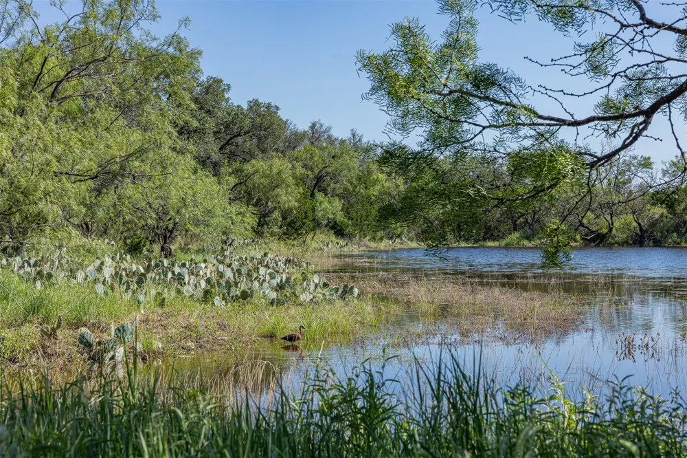 W. 17th Street Brady, TX 76825