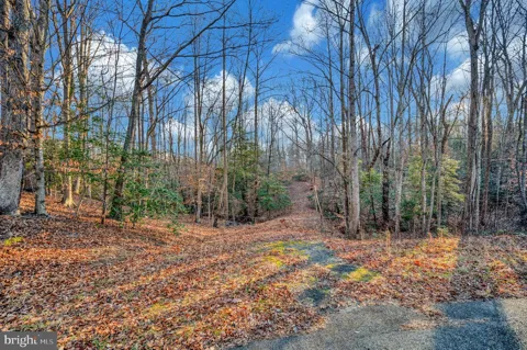 93 DENT ROAD
