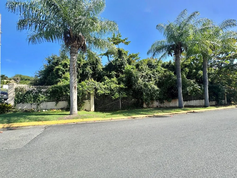 Lot 59 URB. LAS GAVIOTAS Fajardo, PR 00738