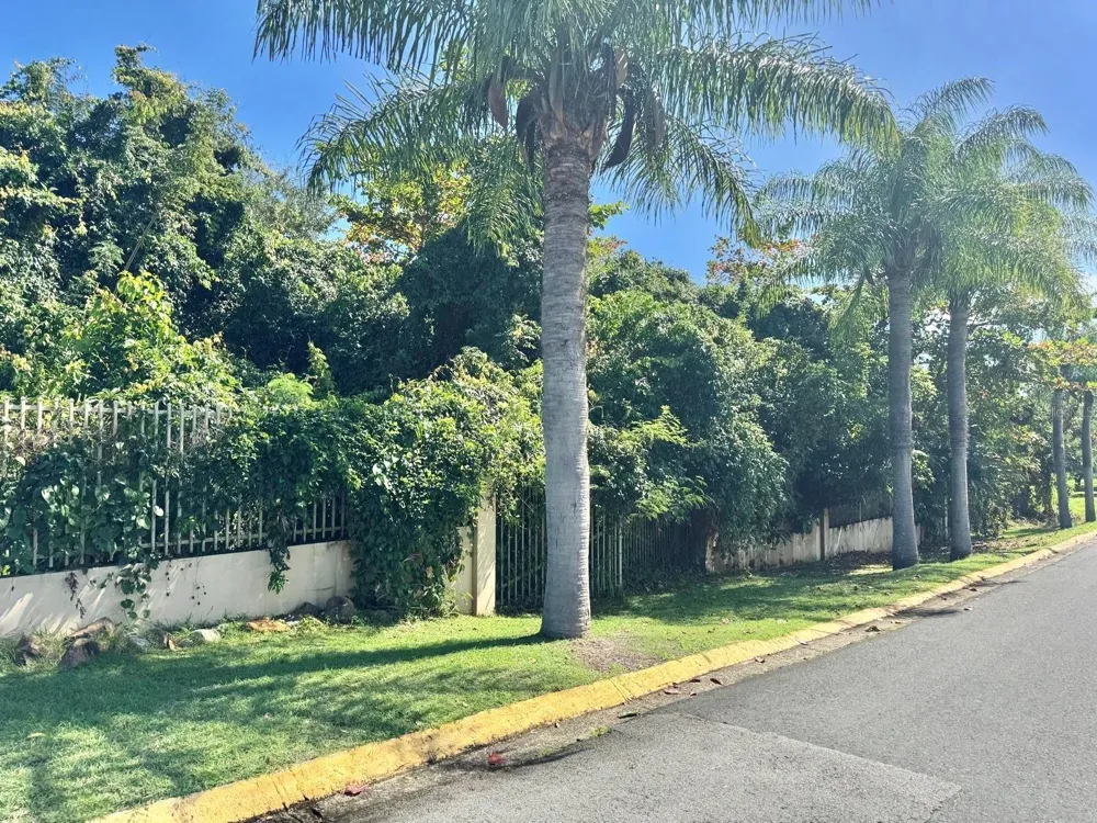 Lot 59 URB. LAS GAVIOTAS Fajardo, PR 00738