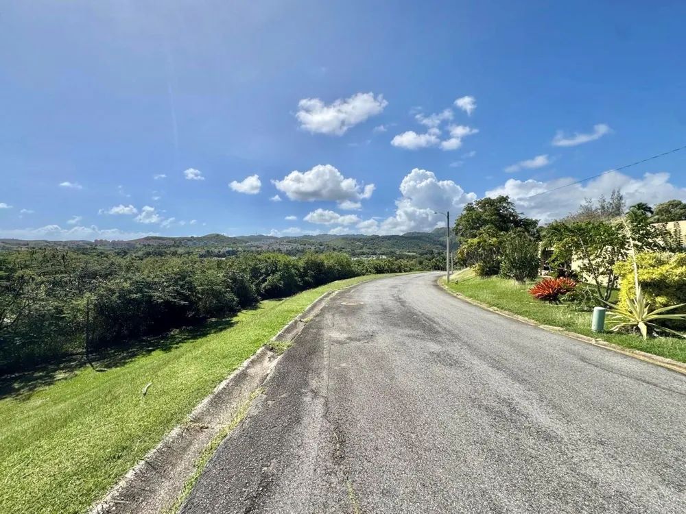 Lot 59 URB. LAS GAVIOTAS Fajardo, PR 00738