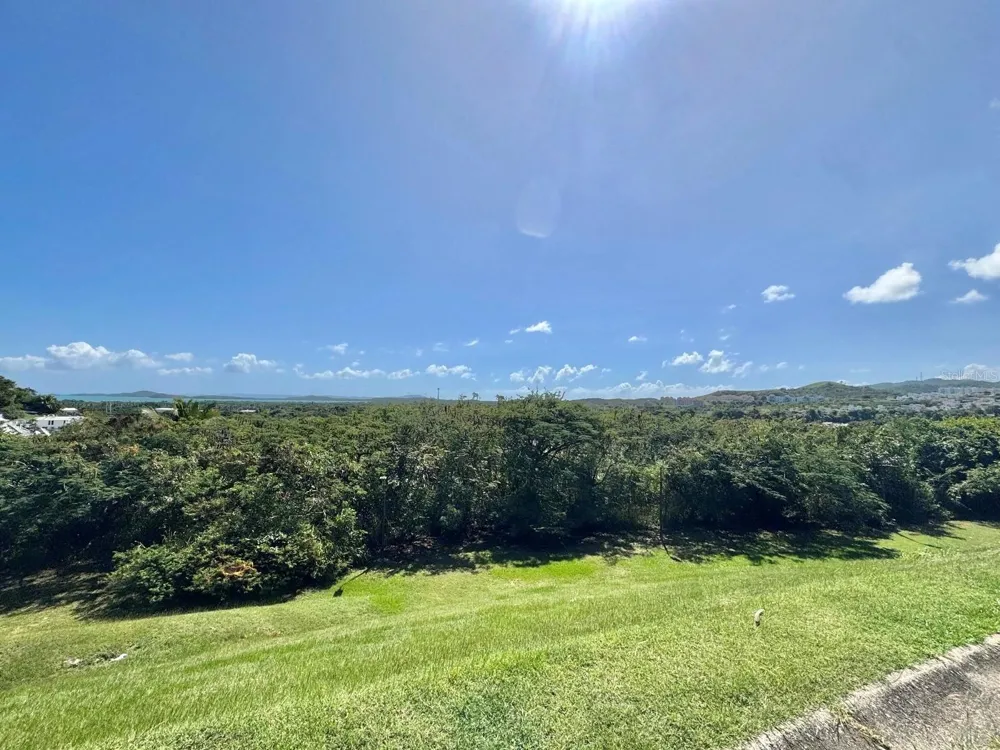 Lot 59 URB. LAS GAVIOTAS Fajardo, PR 00738