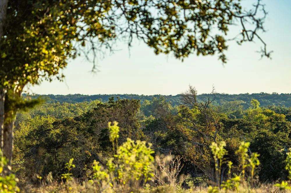 FM-2843 Salado, TX 76571