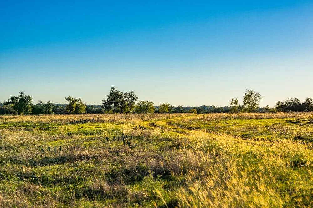 FM-2843 Salado, TX 76571