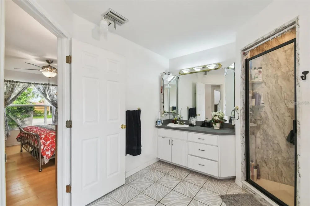 317 SHORE DRIVE E Oldsmar, FL 34677