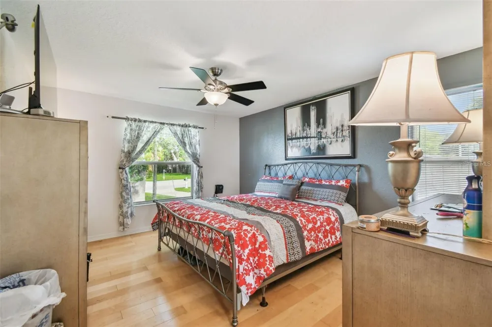 317 SHORE DRIVE E Oldsmar, FL 34677