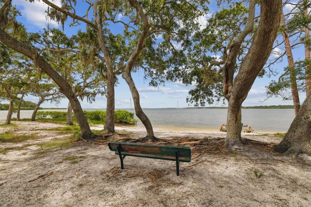 317 SHORE DRIVE E Oldsmar, FL 34677