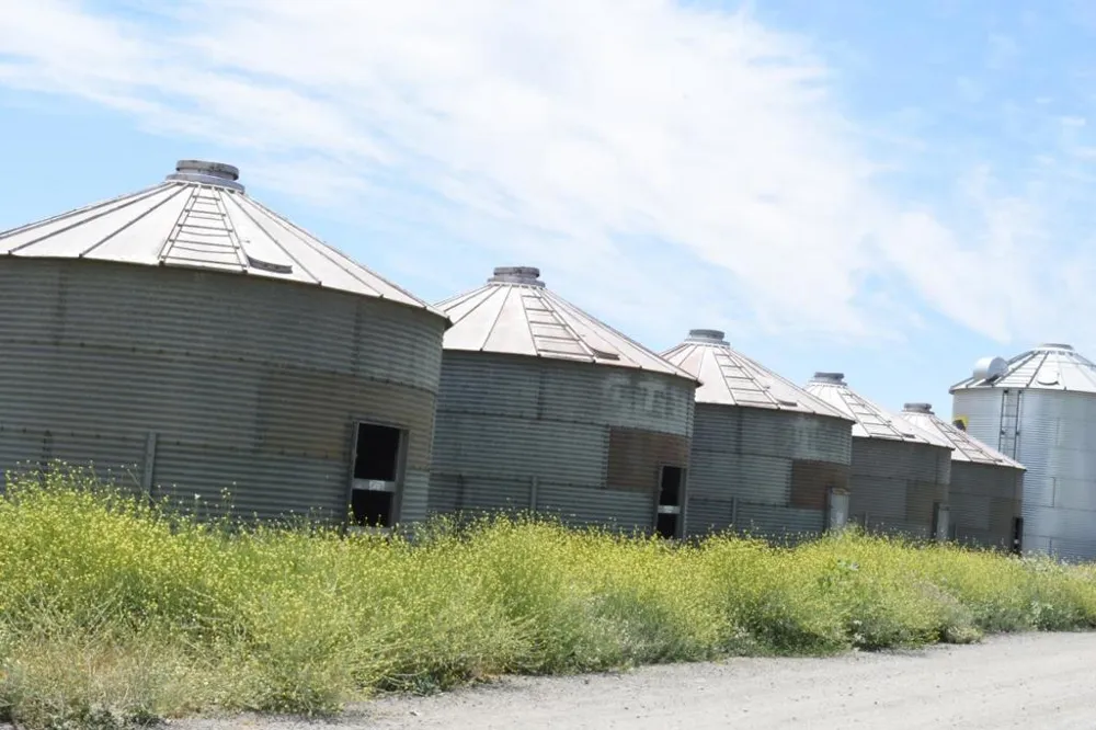 16071 Tyler Island Road Isleton, CA 95641