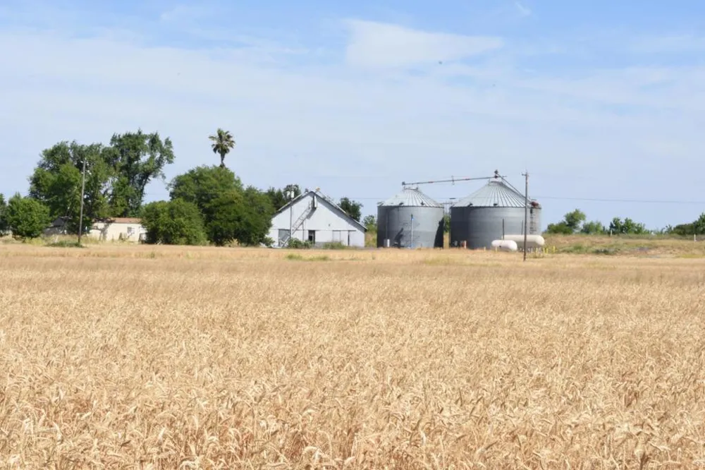 16071 Tyler Island Road Isleton, CA 95641