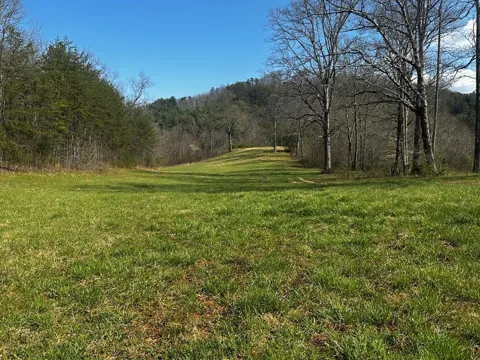 Georgia Rd
