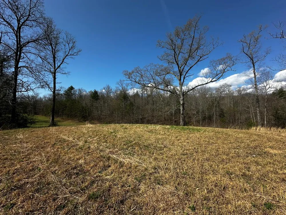 Georgia Rd Otto, NC 28763