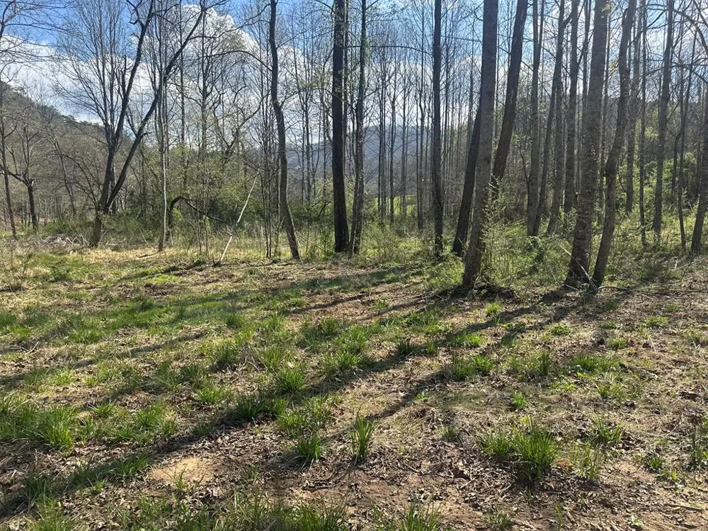 Georgia Rd Otto, NC 28763