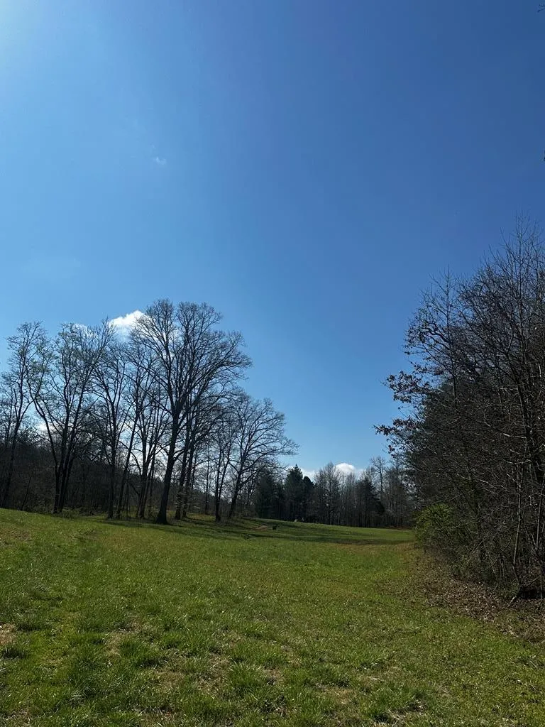 Georgia Rd Otto, NC 28763