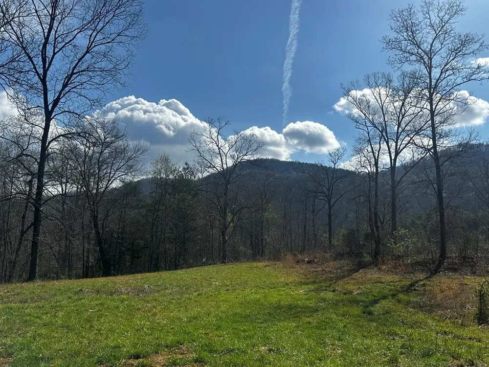 Georgia Rd Otto, NC 28763