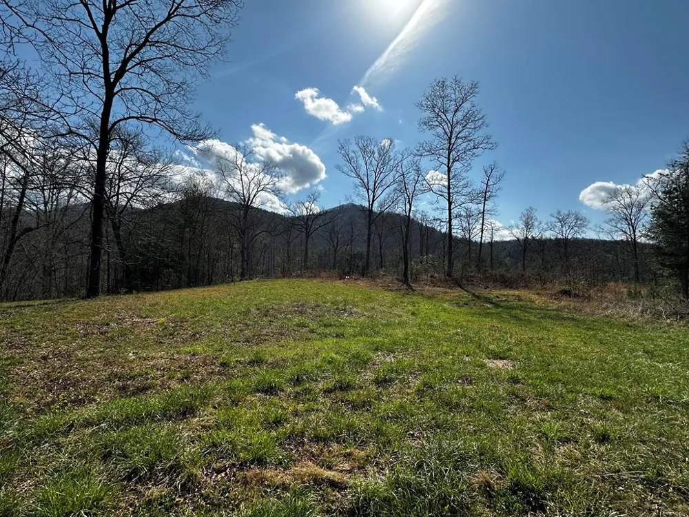 Georgia Rd Otto, NC 28763