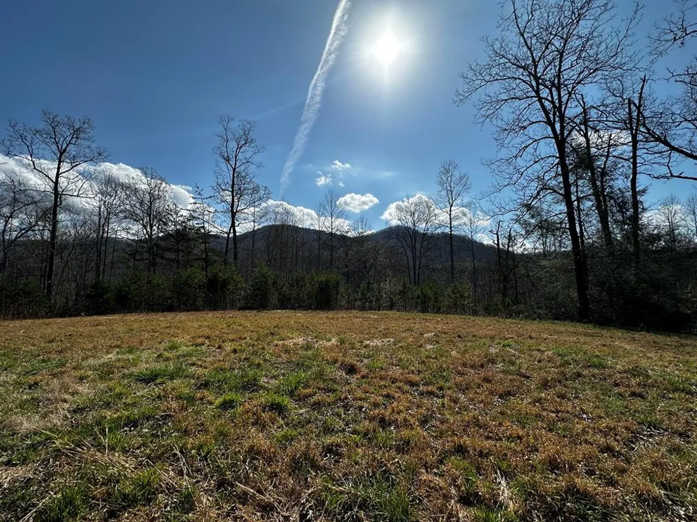 Georgia Rd Otto, NC 28763
