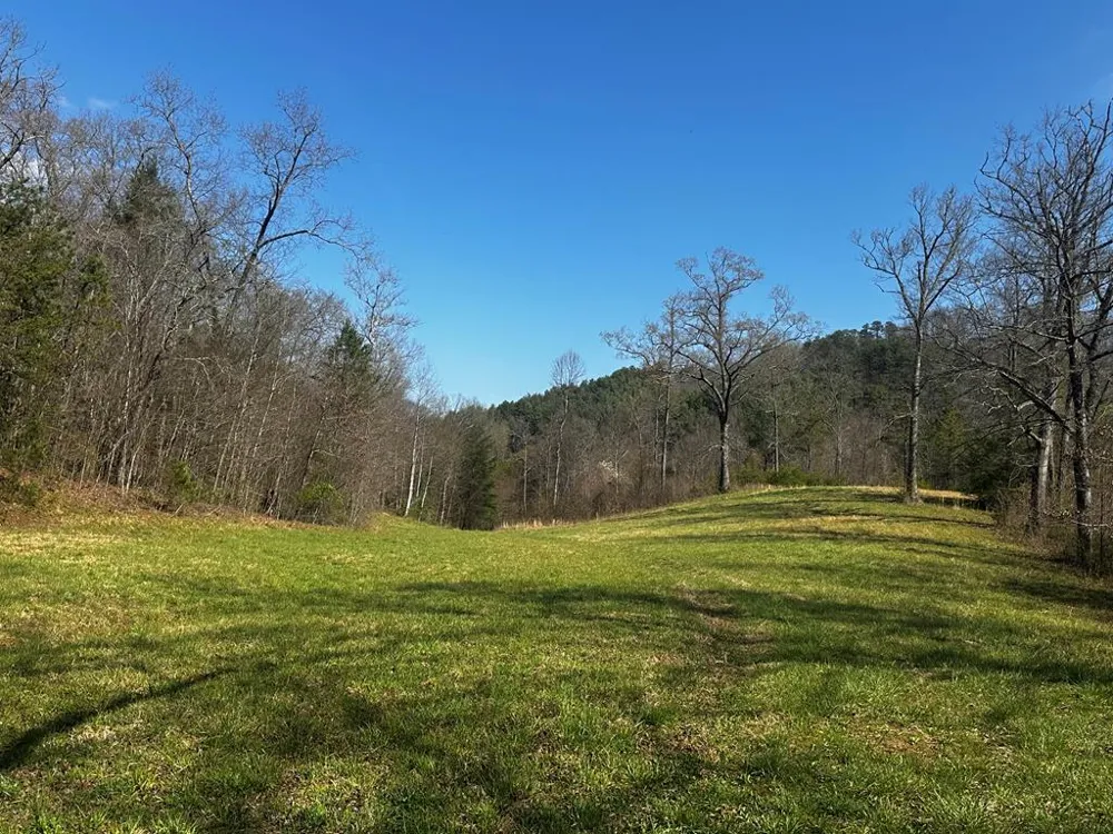Georgia Rd Otto, NC 28763