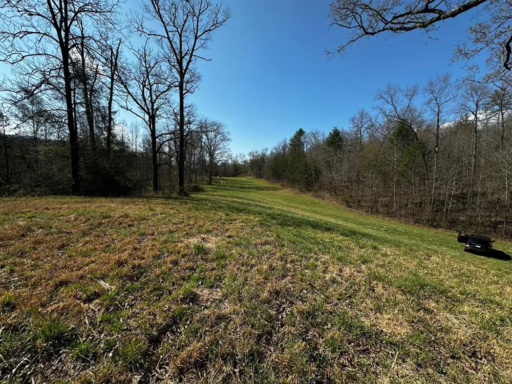 Georgia Rd Otto, NC 28763