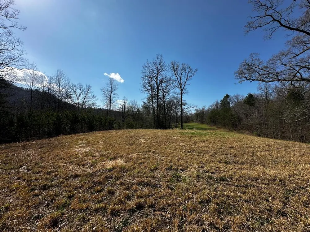 Georgia Rd Otto, NC 28763