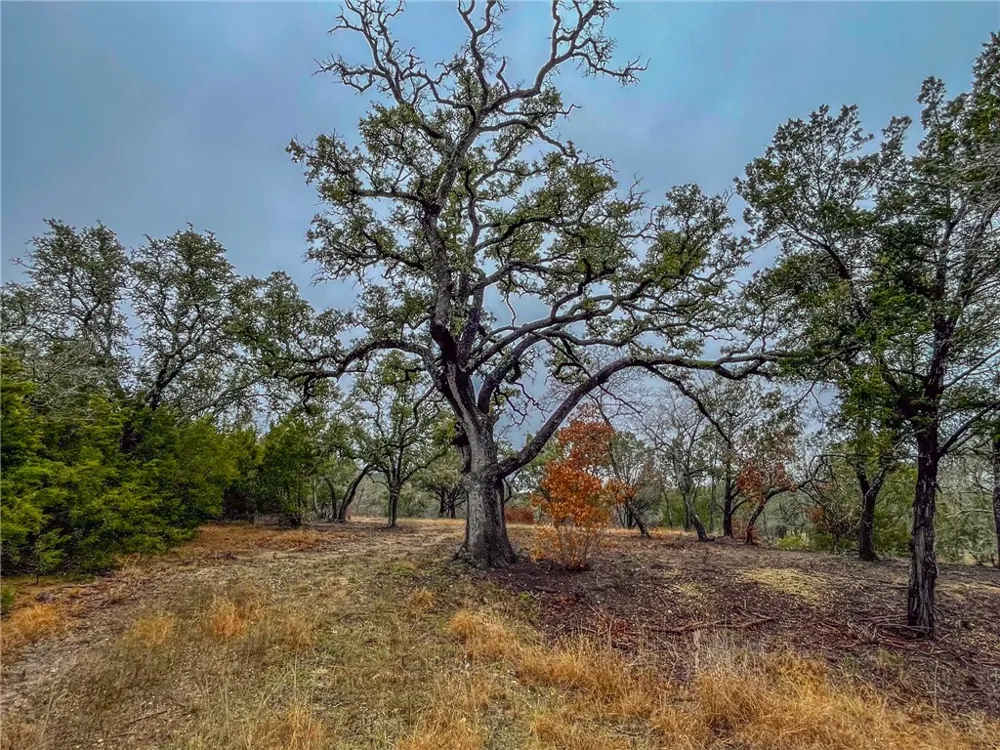 CR 421 ROAD Evant, TX 76525