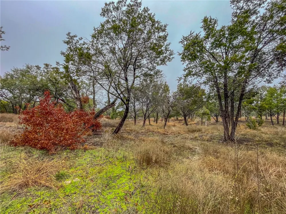 CR 421 ROAD Evant, TX 76525