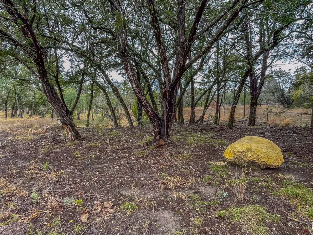 CR 421 ROAD Evant, TX 76525
