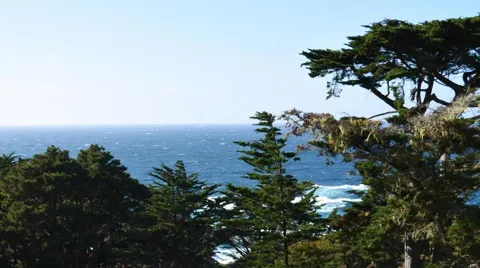 Spindrift Road