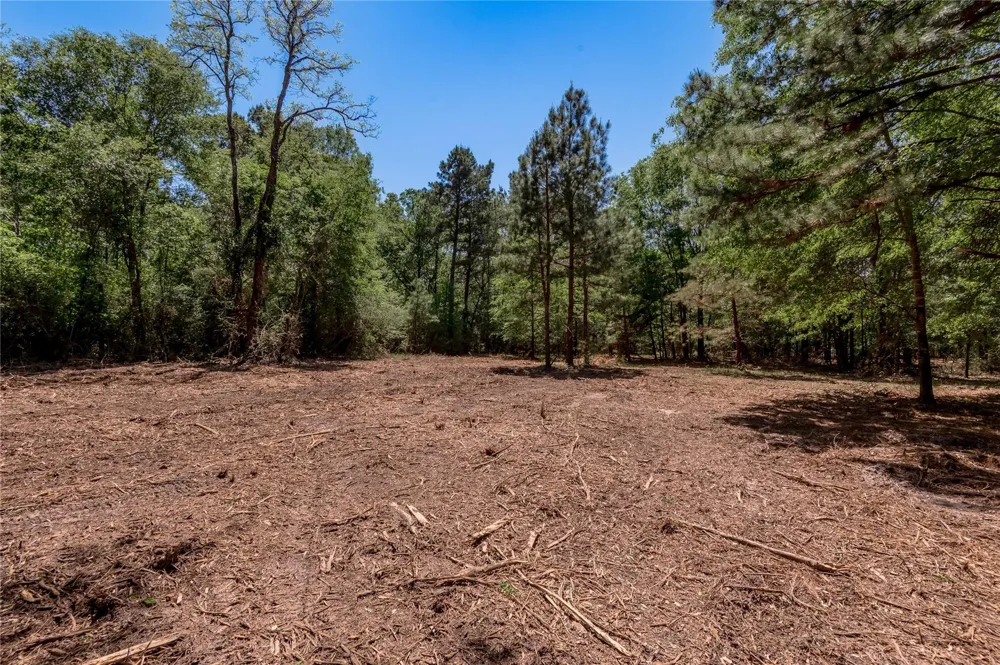 6077 001 Cr 4200 Pennington, TX 75856