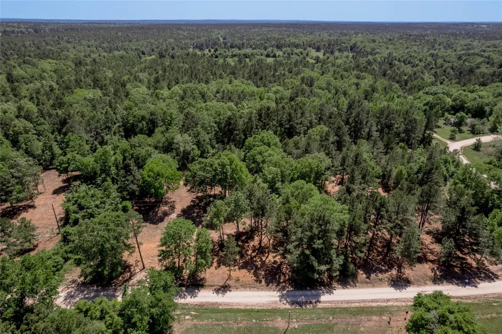 6077 001 Cr 4200 Pennington, TX 75856