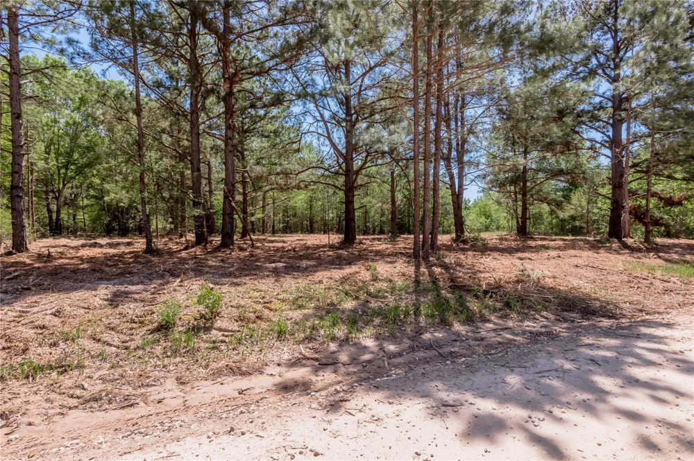 6077 000 Cr 4200 Pennington, TX 75856
