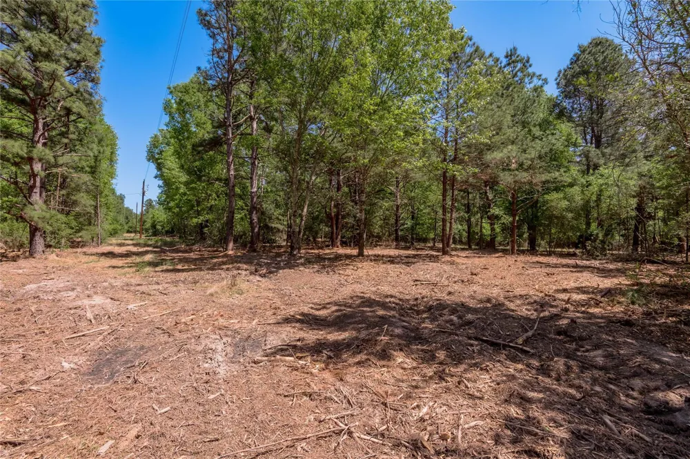 6077 000 Cr 4200 Pennington, TX 75856