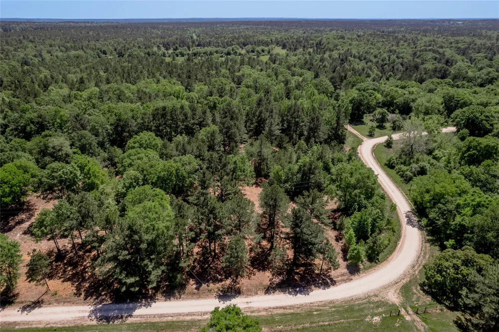 6077 000 Cr 4200 Pennington, TX 75856