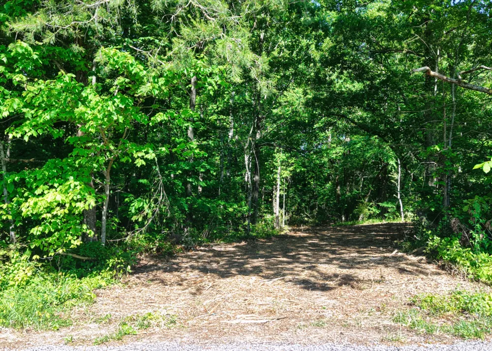 1622 Monteagle Falls Road Monteagle, TN 37356