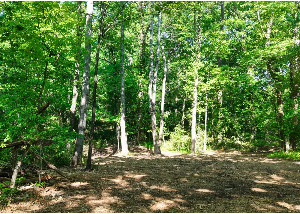 1622 Monteagle Falls Road Monteagle, TN 37356