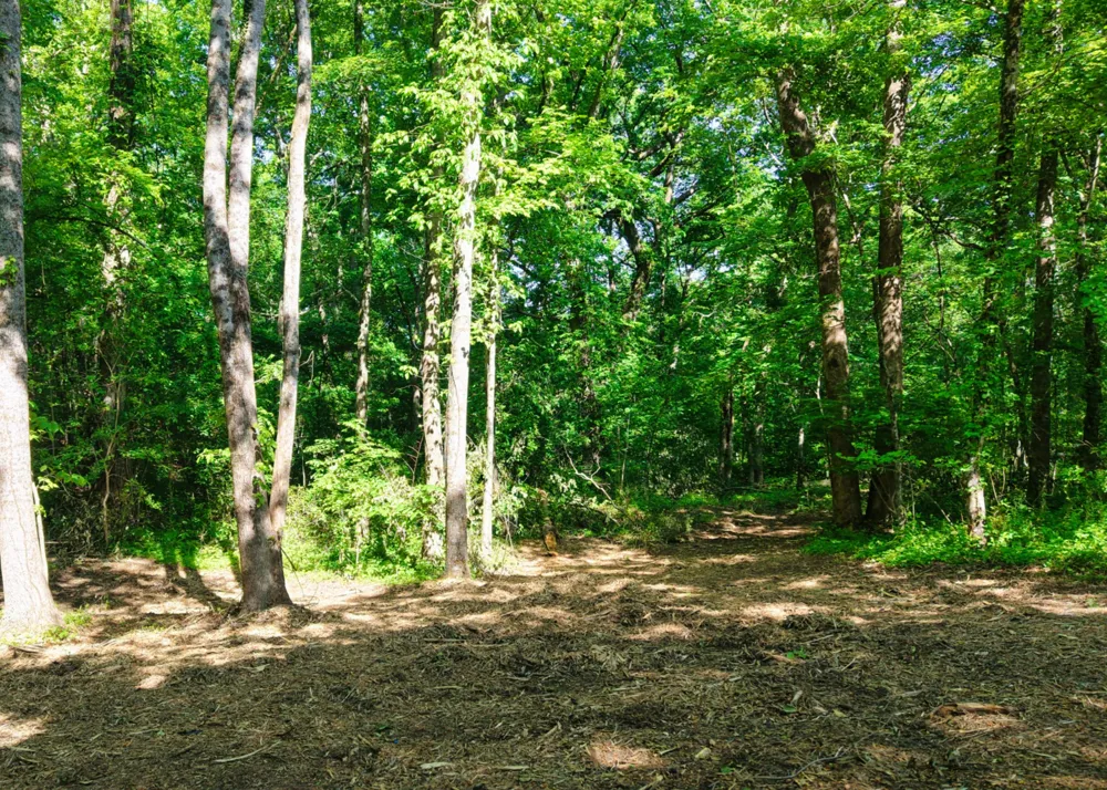 1622 Monteagle Falls Road Monteagle, TN 37356