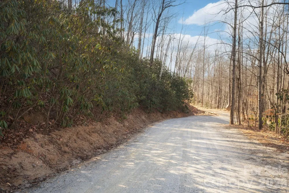 000 Bee Tree Road #103B Swannanoa, NC 28778