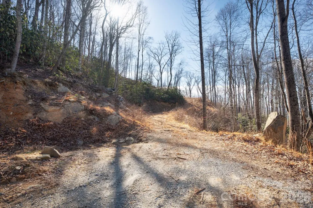 000 Bee Tree Road #103B Swannanoa, NC 28778