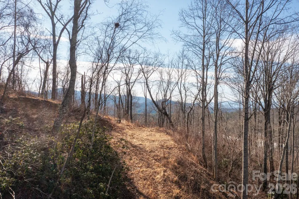 000 Bee Tree Road #103B Swannanoa, NC 28778