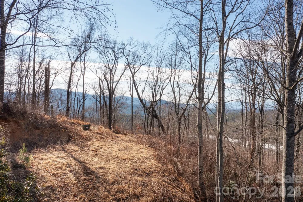 000 Bee Tree Road #103B Swannanoa, NC 28778