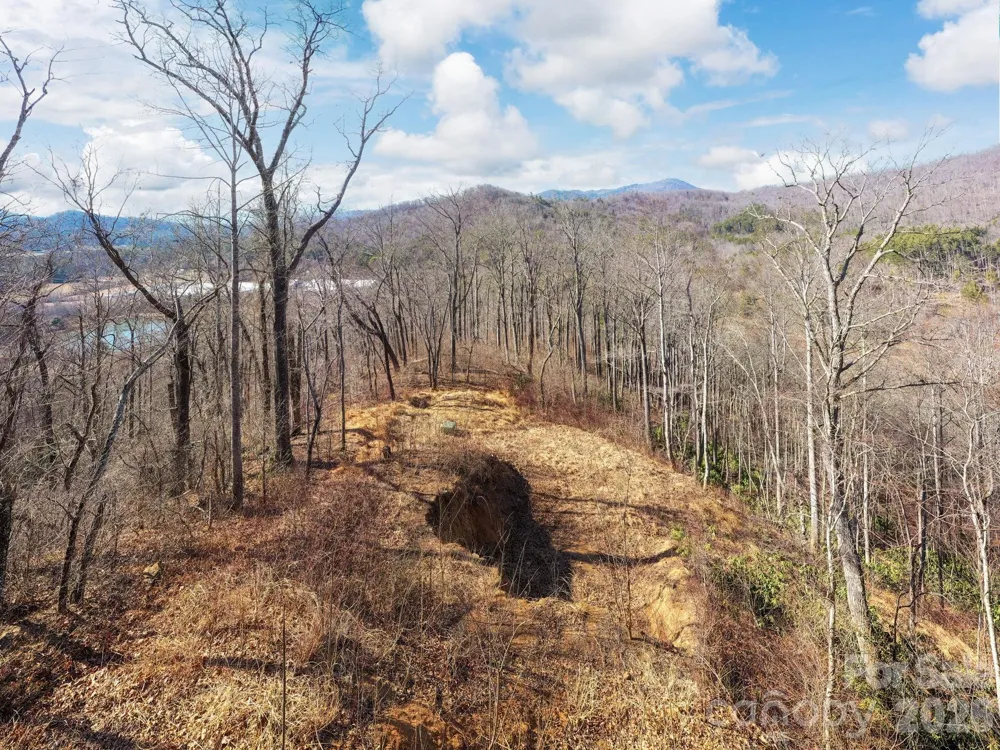 000 Bee Tree Road #103B Swannanoa, NC 28778