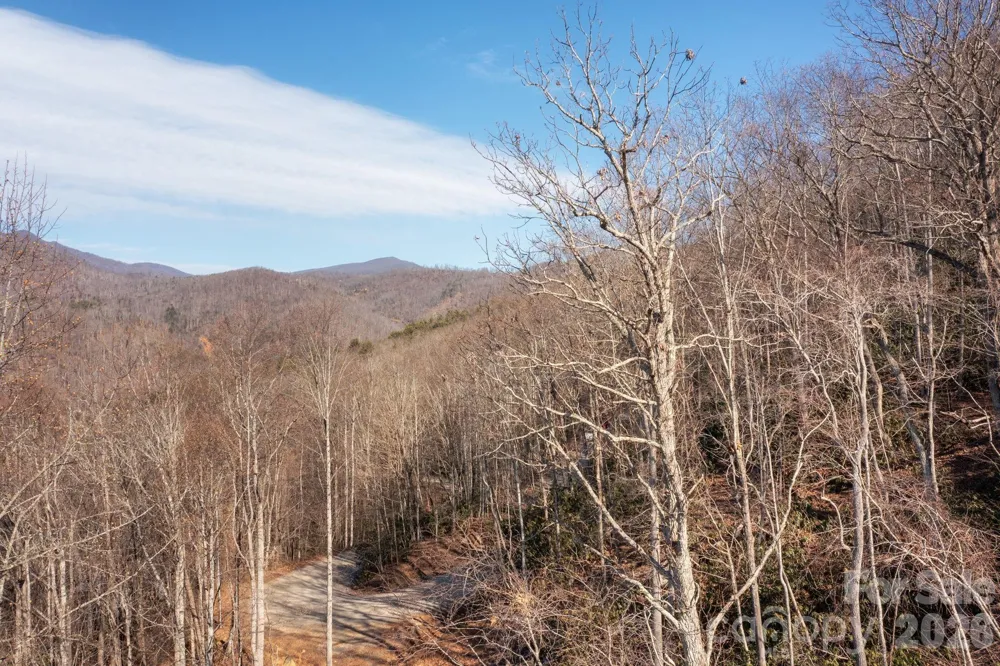 000 Bee Tree Road #103B Swannanoa, NC 28778
